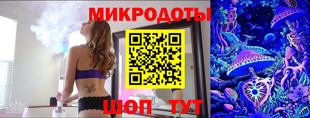 Псилоцибиновые грибы Psilocybe Курск